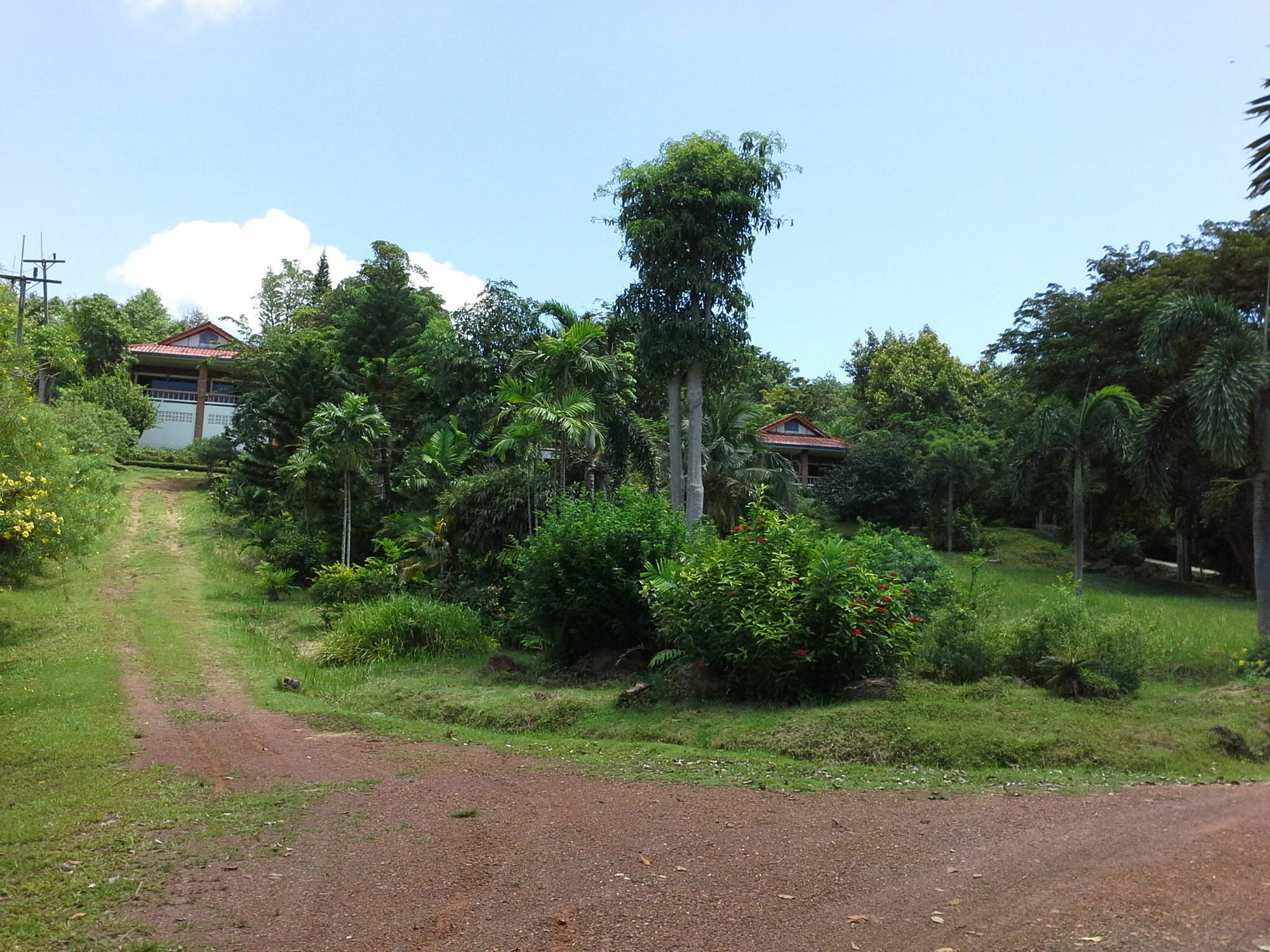 Freedom Estate Sea View Apartments Ko Lanta Eksteriør billede