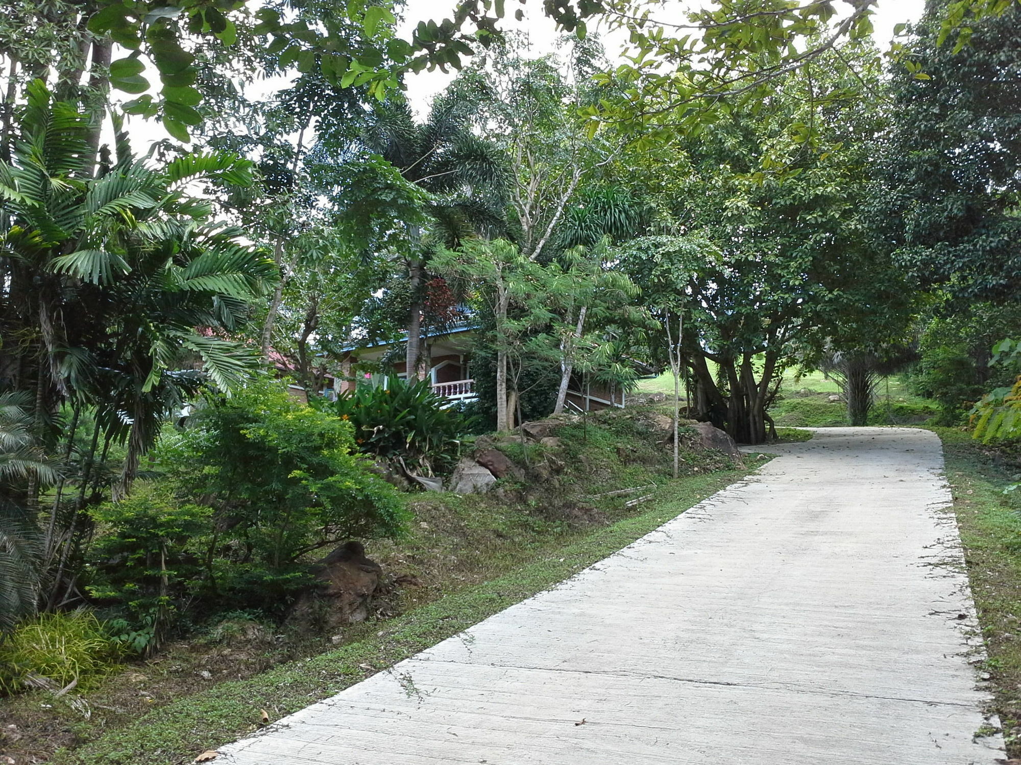 Freedom Estate Sea View Apartments Ko Lanta Eksteriør billede